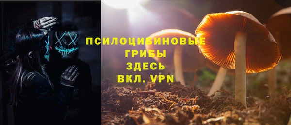 СК Володарск