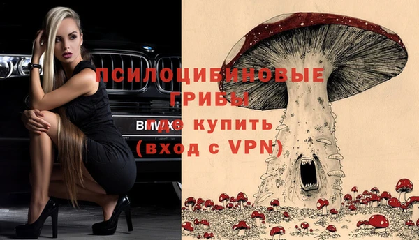 mdpv Волоколамск