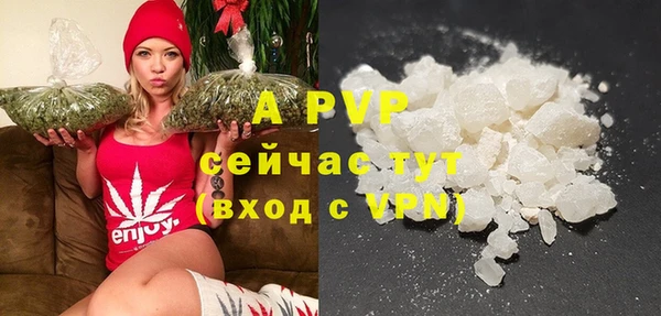 СК Володарск