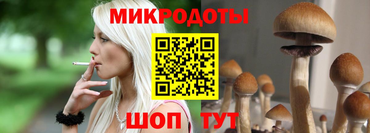 Псилоцибиновые грибы прущие грибы Мариинск